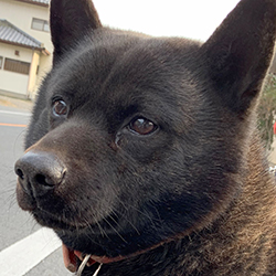 動物看護助手：前野 綾香